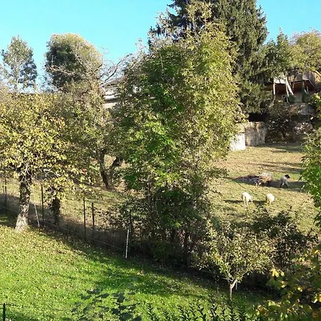 Les Du Belvedere - Arbois