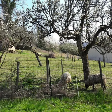 Les Du Belvedere - Holiday home *